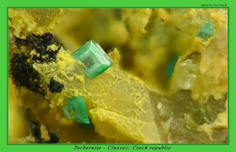 Mineral photo of Torbernite from locality Cínovec, Czech Republic