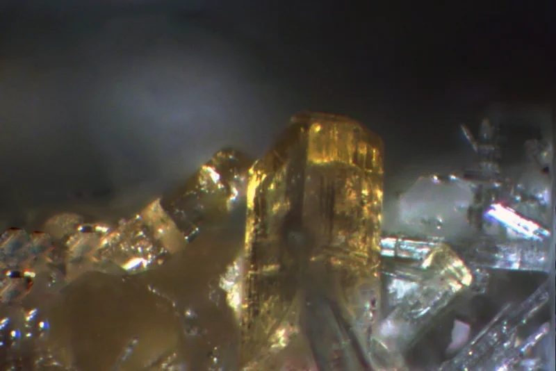 Mineral photo of Epidote from locality Wedretta di Sissone, Italy