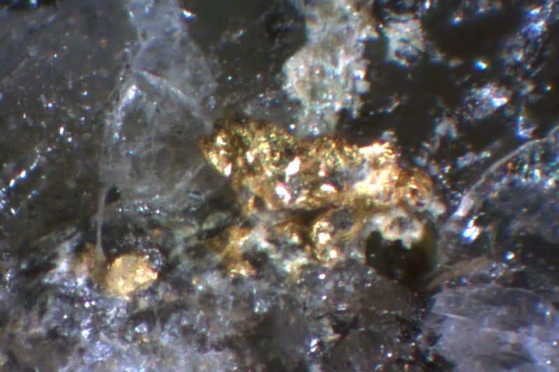 Gold