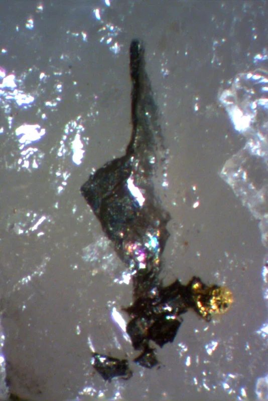 Gold, Joséite