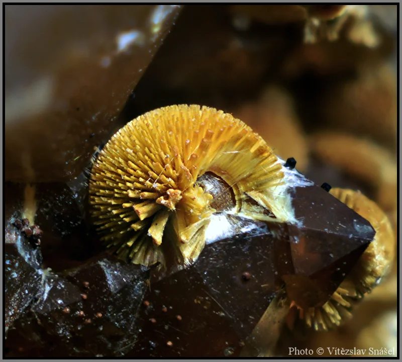 Mineral photo of Cacoxenite from locality Těškov, Czech Republic