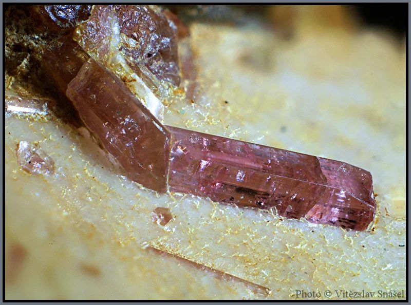 Mineral photo of Elbaite (var. rubellite) from locality Řečice, Czech Republic