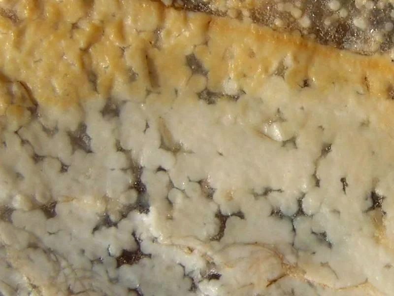 Mineral photo of Quartz (var. chalcedony) from locality Fulnek - Děrné, Czech Republic