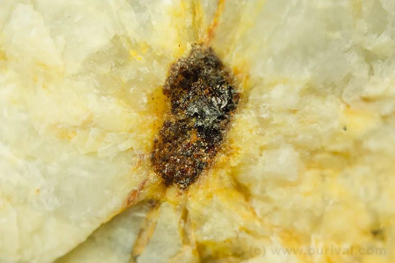 Aeschynite-(Ce)