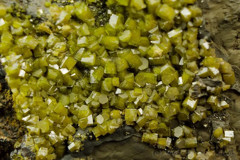 Pyromorphite