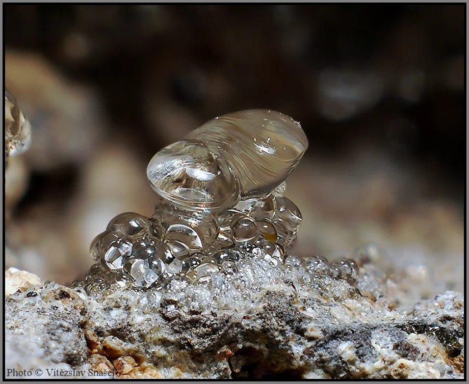 Opal (var. hyalite)