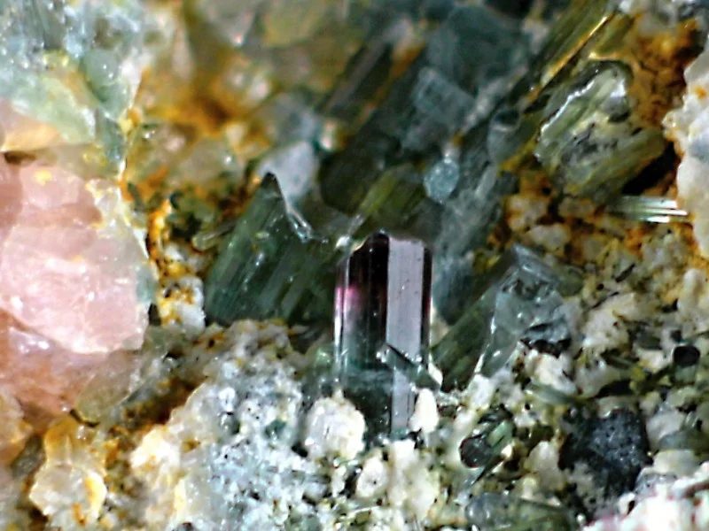 Foitite