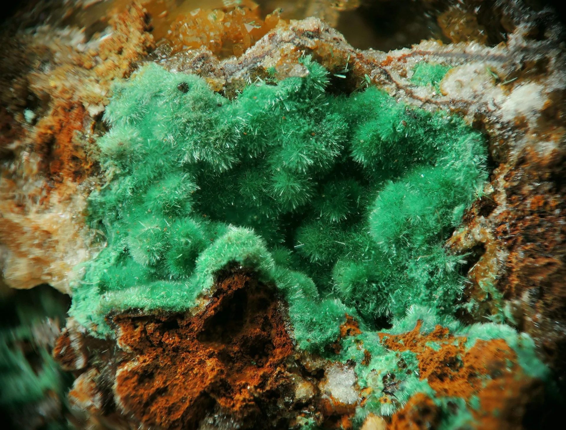 Mineral photo of Malachite from locality Borovec, Czech Republic