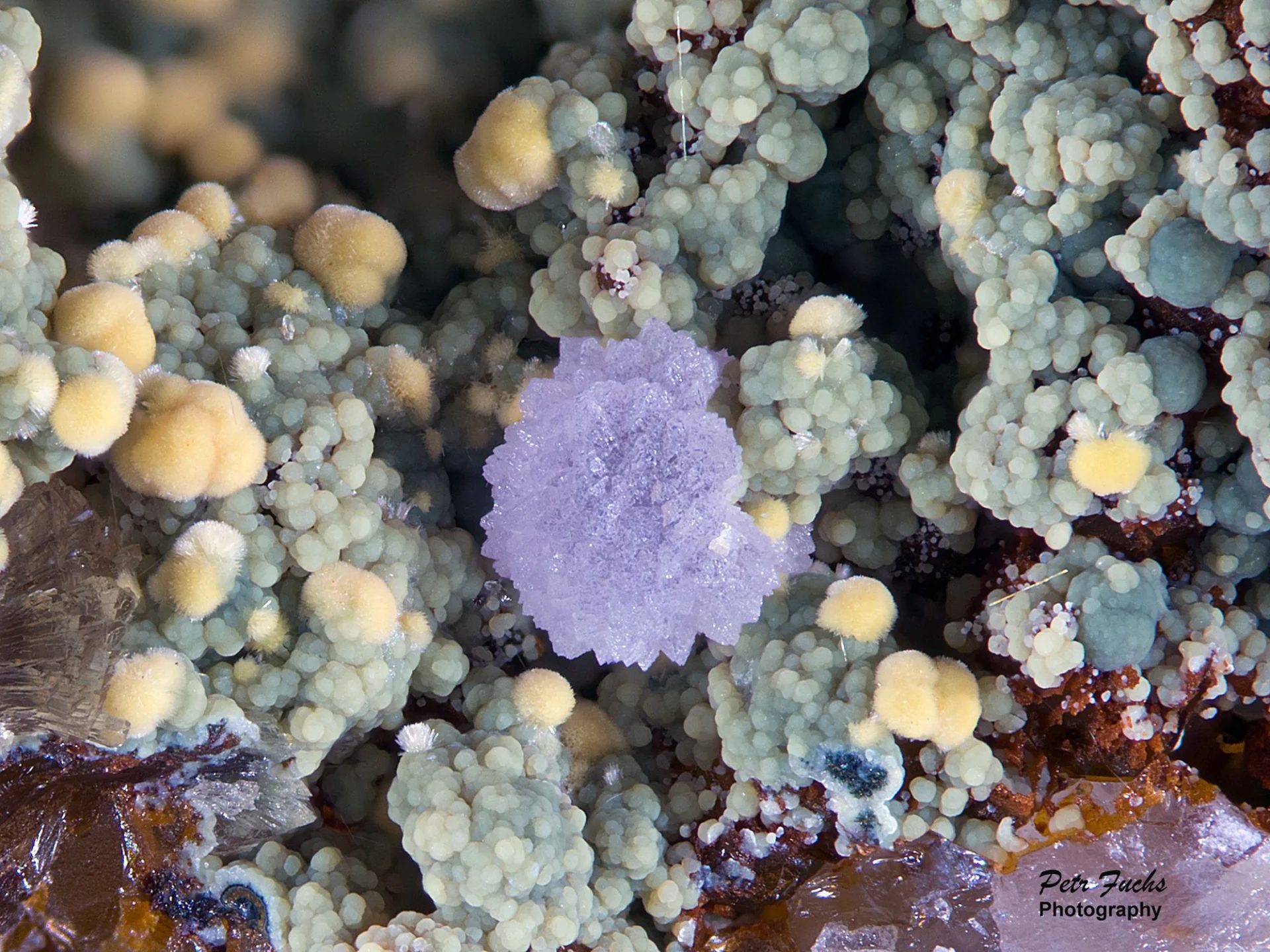 Kidwellite, Meurigite, Natrodufrénite, Strengite