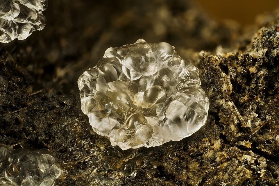 Opal (var. hyalite)