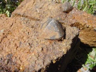 Cassiterite