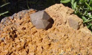 Cassiterite