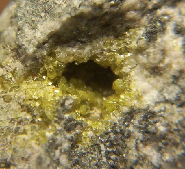 Mineral photo of Epidote from locality Polnička, Czech Republic