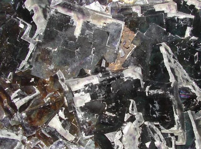 Mineral photo of Fluorite from locality Budjgar, Mongolia