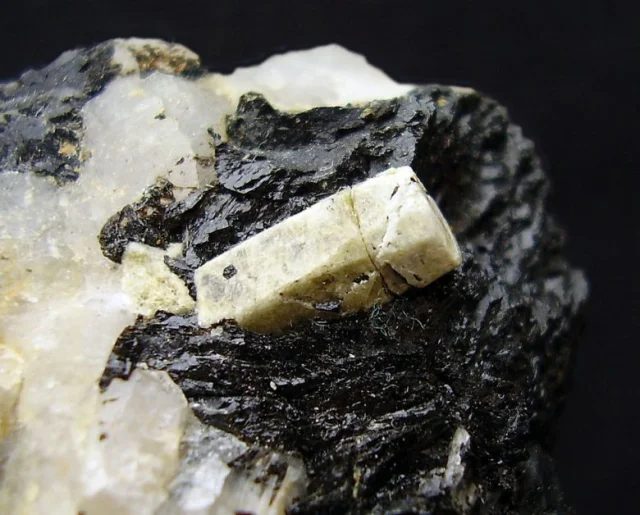 Fluorapatite