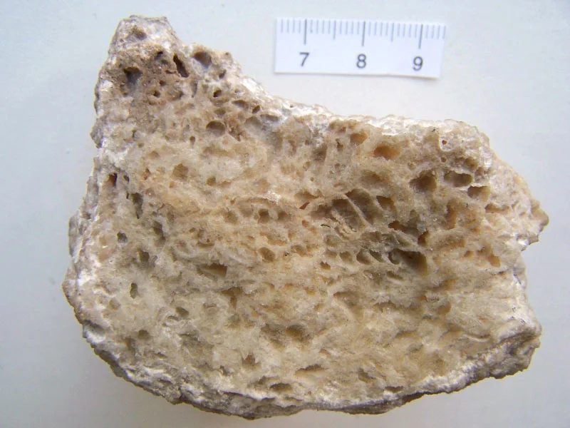 Thenardite
