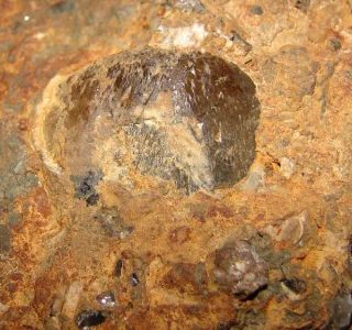 Mineral photo of Topaz from locality Volyň, Ukraine