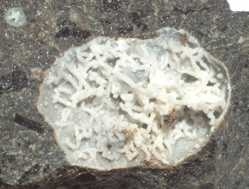 Phillipsite