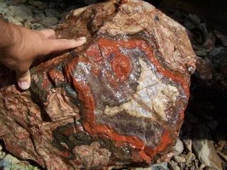 Mineral photo of Agate from locality Schlottwitz, Germany