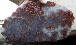 Mineral photo of Agate from locality Horní Halže, Czech Republic