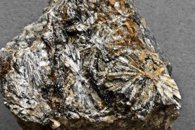 Andalusite (var. chiastolite)