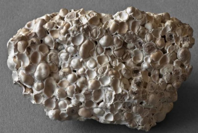Aragonite