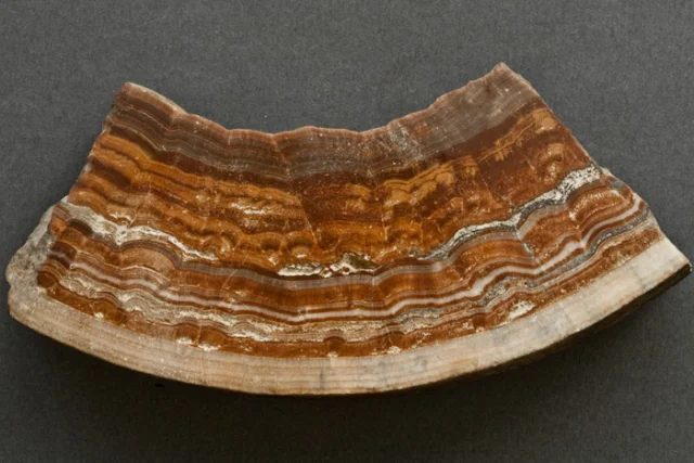 Aragonite