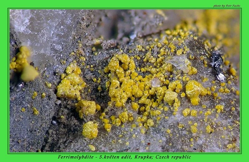Ferrimolybdite