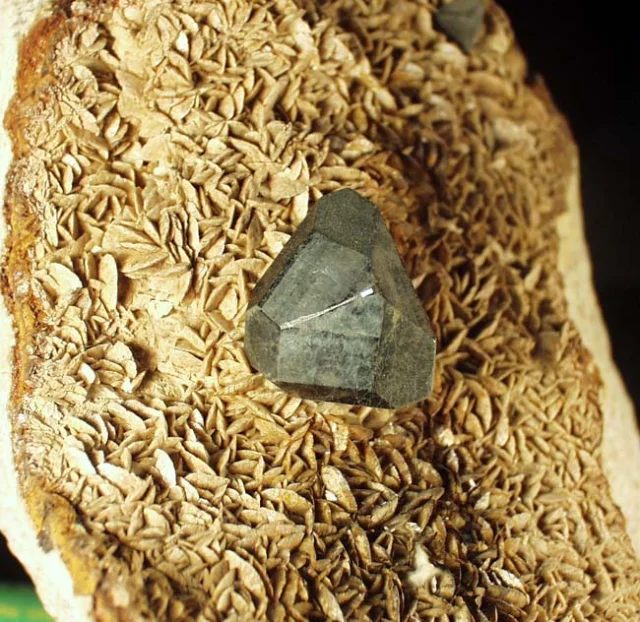 Mineral photo of Freibergite from locality Obecnice, Czech Republic