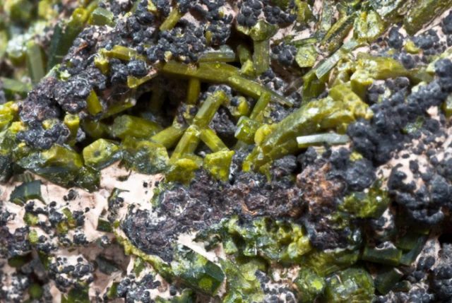 Mineral photo of Pyromorphite from locality Příbram, Czech Republic