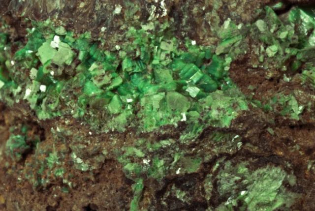 Mineral photo of Torbernite from locality Jáchymov, Czech Republic