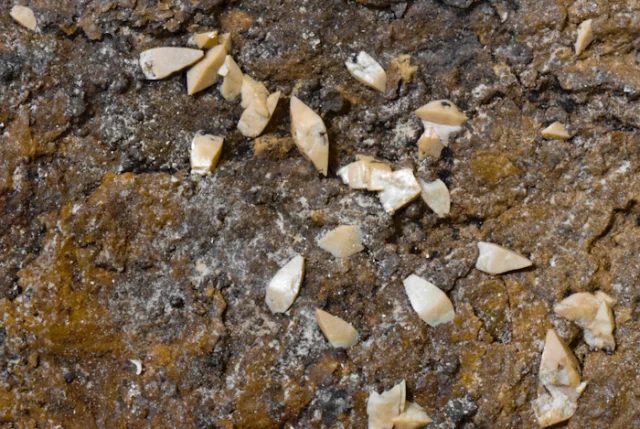 Wulfenite