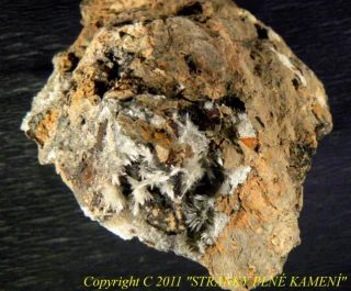 Aragonite