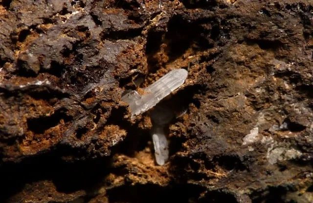 Mineral photo of Cerussite from locality Nová Ves u Rýmařova, Czech Republic