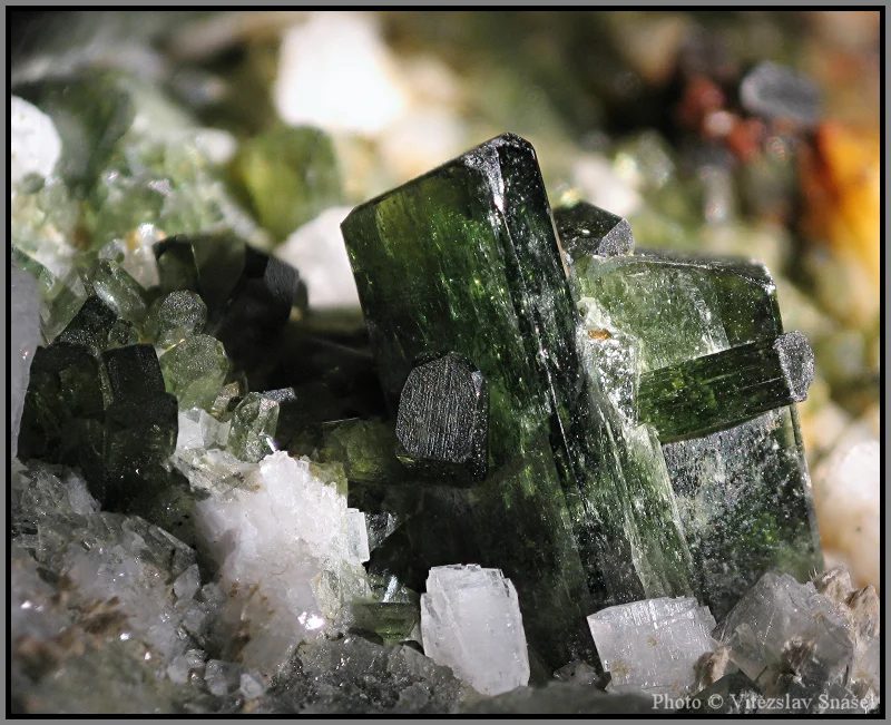 Mineral photo of Albite, Diopside from locality Tormiq Valley, Haramosh Mts., Skardu District, Gilgit-Baltistan, Pakistan