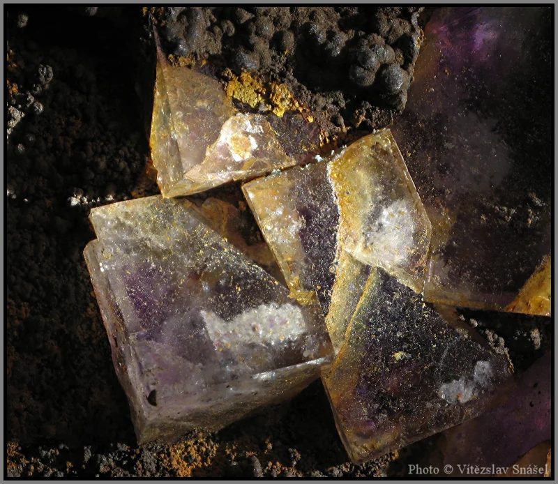 Mineral photo of Fluorite from locality Budjgar, Mongolia