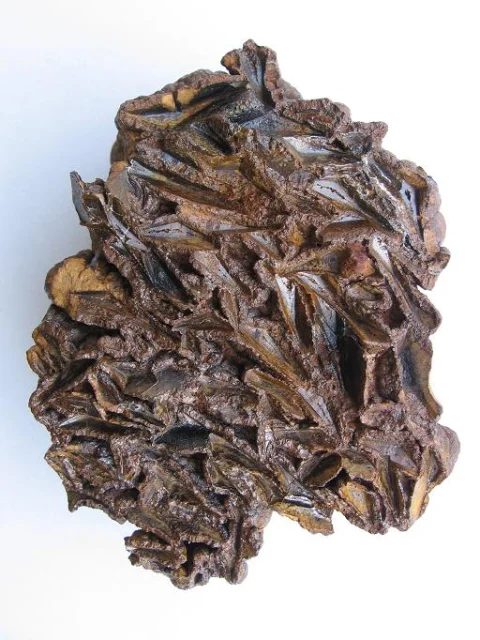 Mineral photo of Limonite from locality Prachovice, Czech Republic