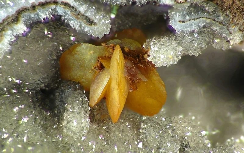 Mineral photo of Siderite from locality Bílina, Czech Republic