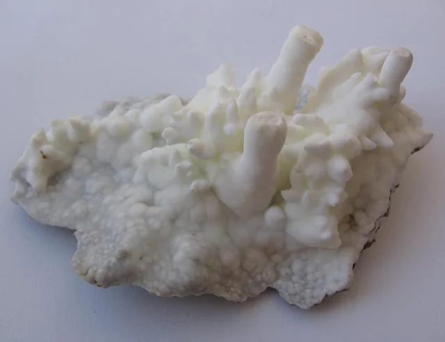 Aragonite
