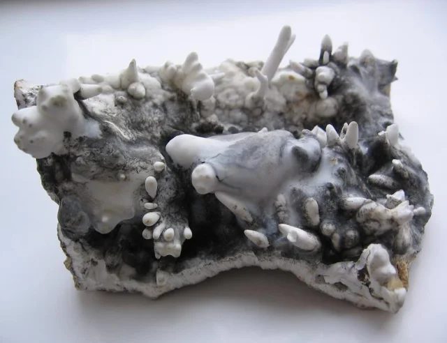 Aragonite