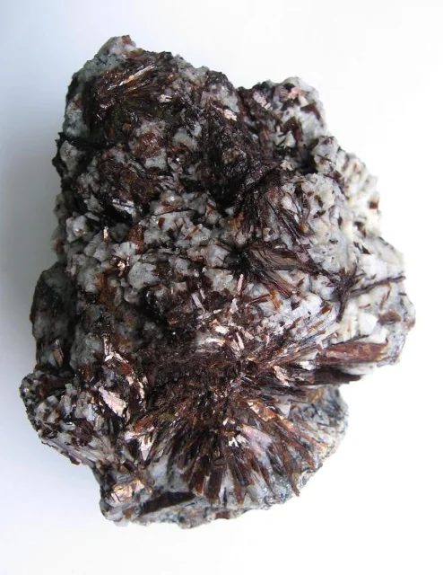 Astrophyllite