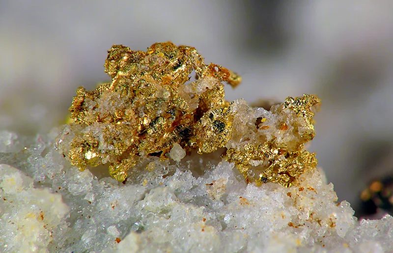 Gold