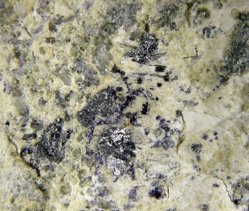 Krupkaite