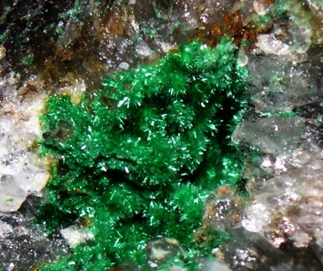 Mineral photo of Malachite from locality Borovec, Czech Republic