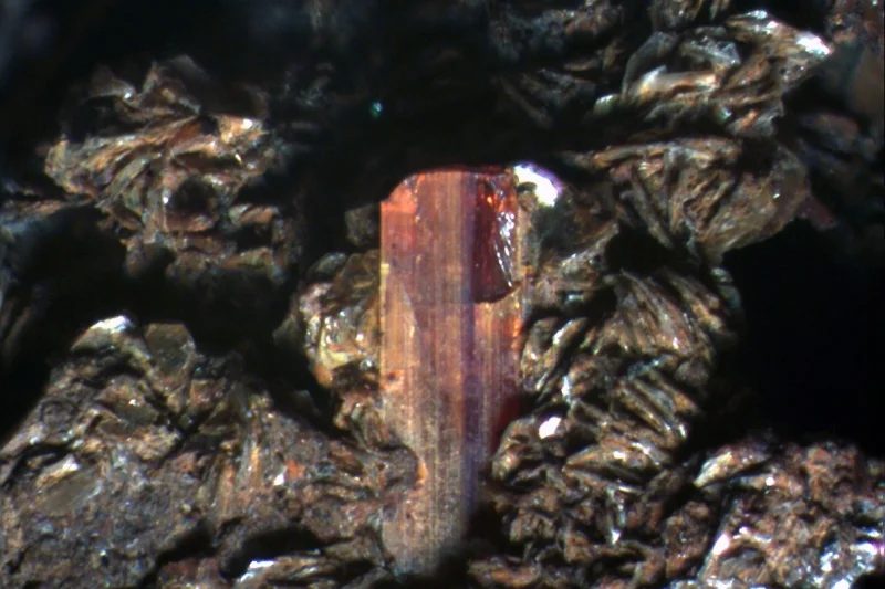 Rutile