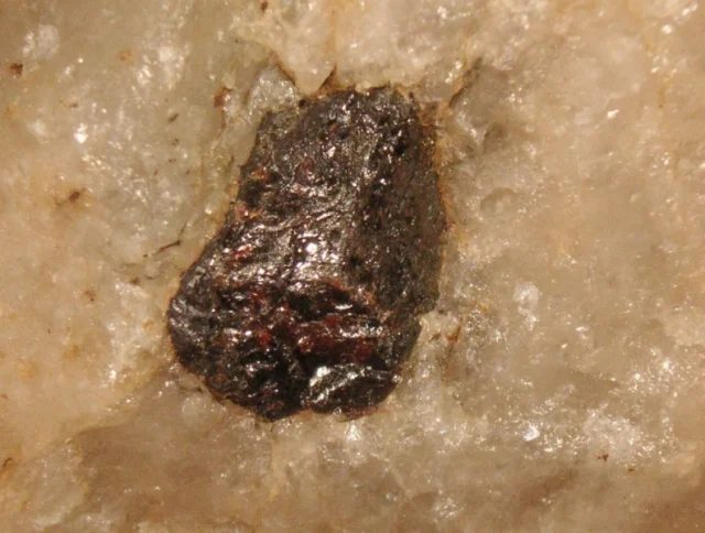 Rutile