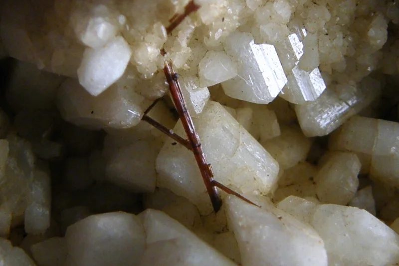 Albite (var. pericline), Rutile