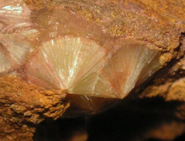Mineral photo of Wavellite from locality Třenice, Czech Republic