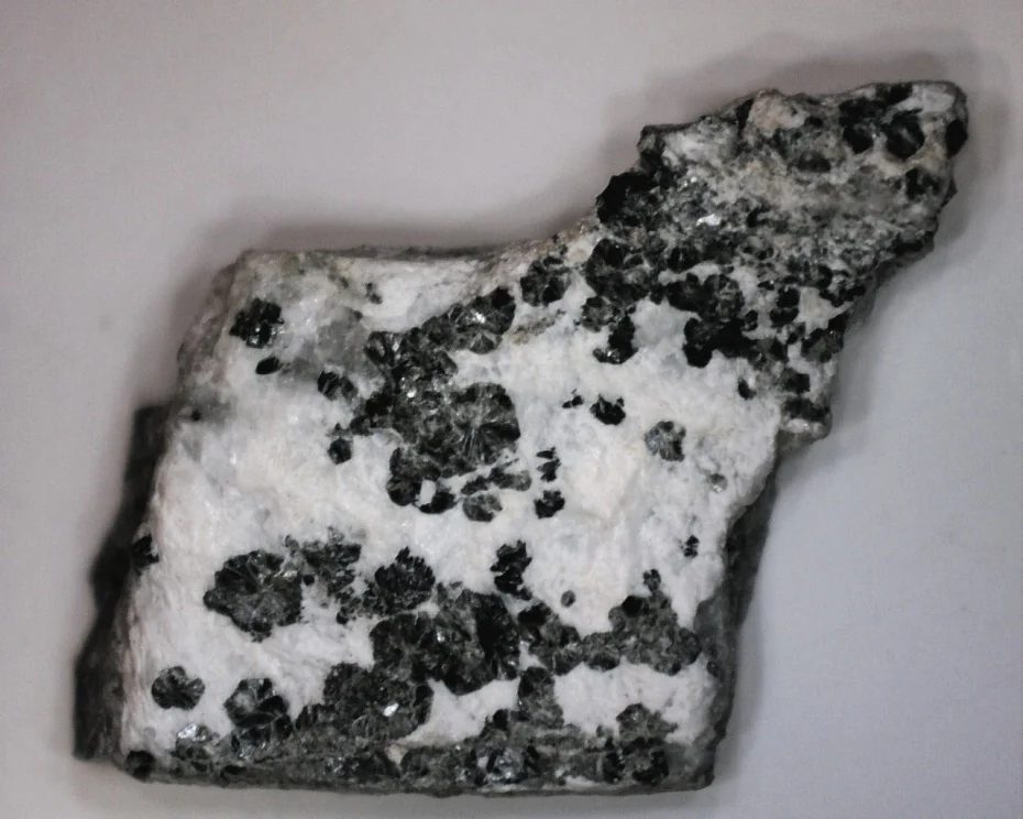 Clinochlore (var. ripidolite)