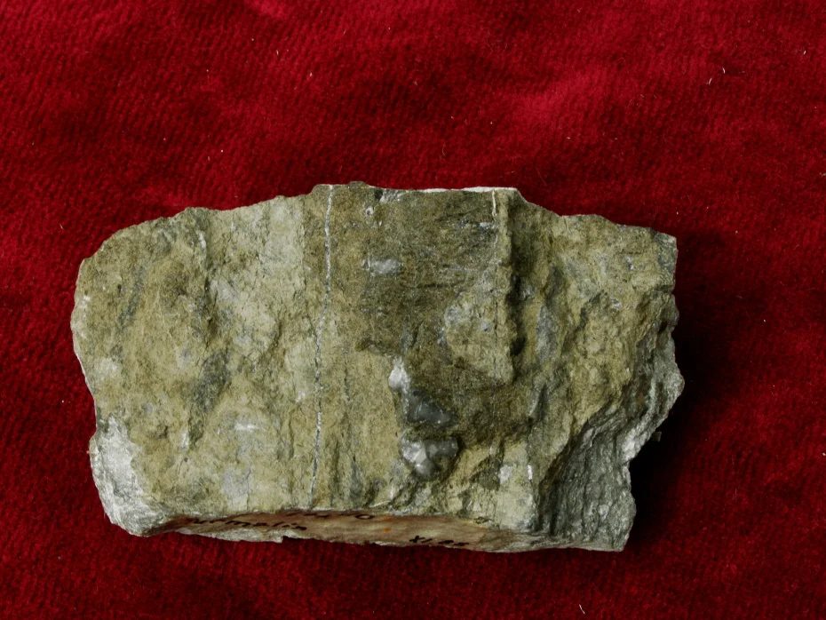 Dravite